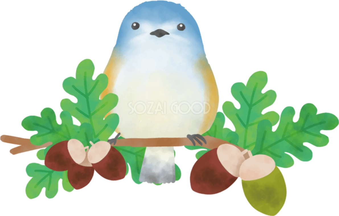 どんぐり 秋 鳥 イラスト無料 フリー90034