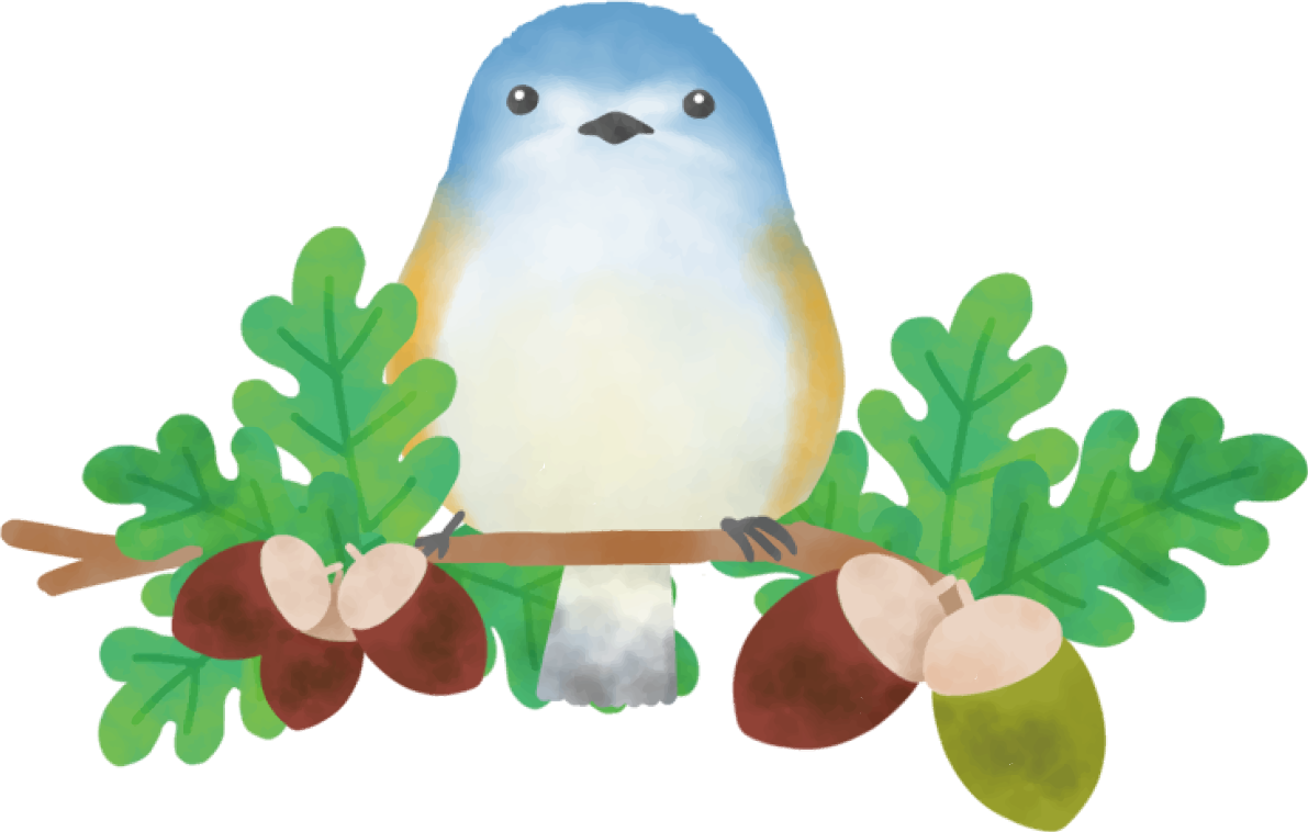 どんぐり 秋 鳥 イラスト無料 フリー90034に写真・文字を入れる
