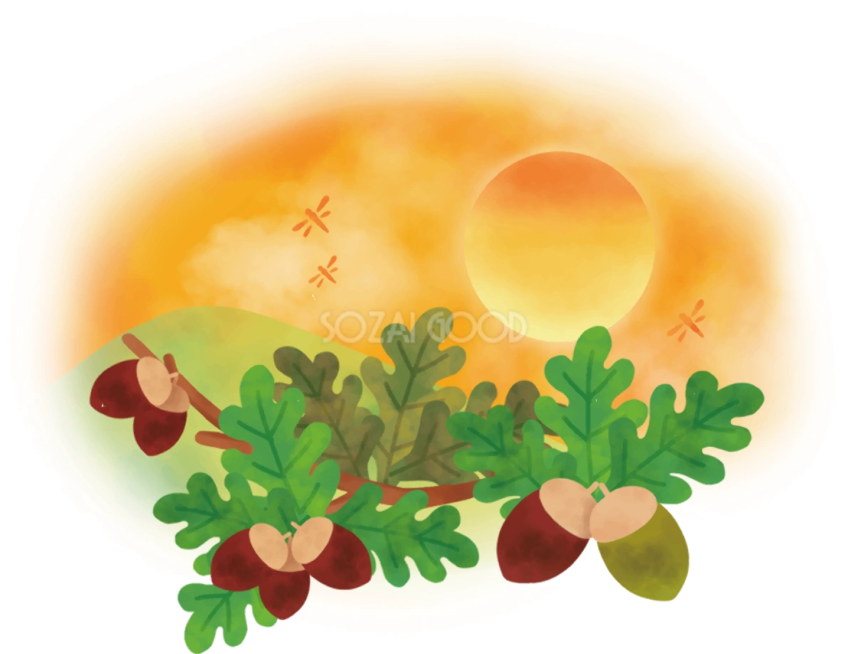 どんぐり 秋 夕暮れ イラスト無料 フリー90036