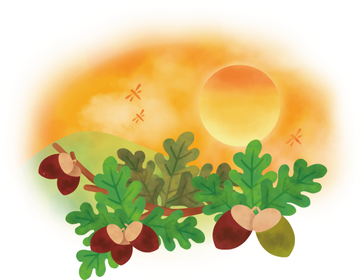どんぐり 秋 夕暮れ イラスト無料 フリー90036に写真・文字を入れる