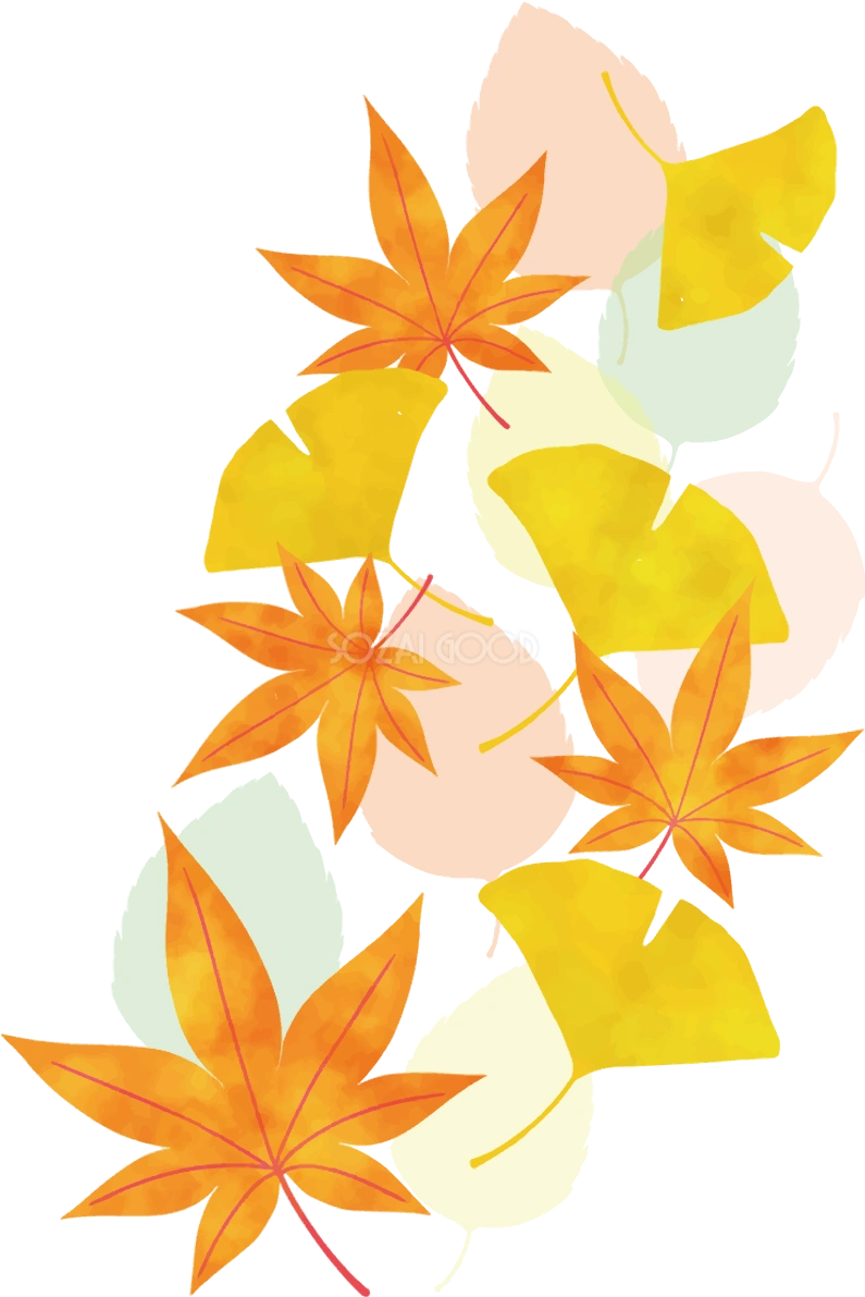 紅葉(もみじ) 秋 イチョウ イラスト無料 フリー90038
