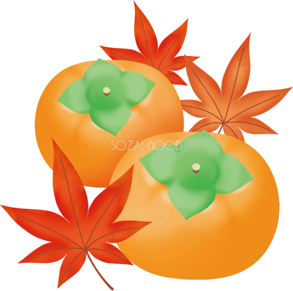 紅葉(もみじ) 秋 柿 イラスト無料 フリー90040