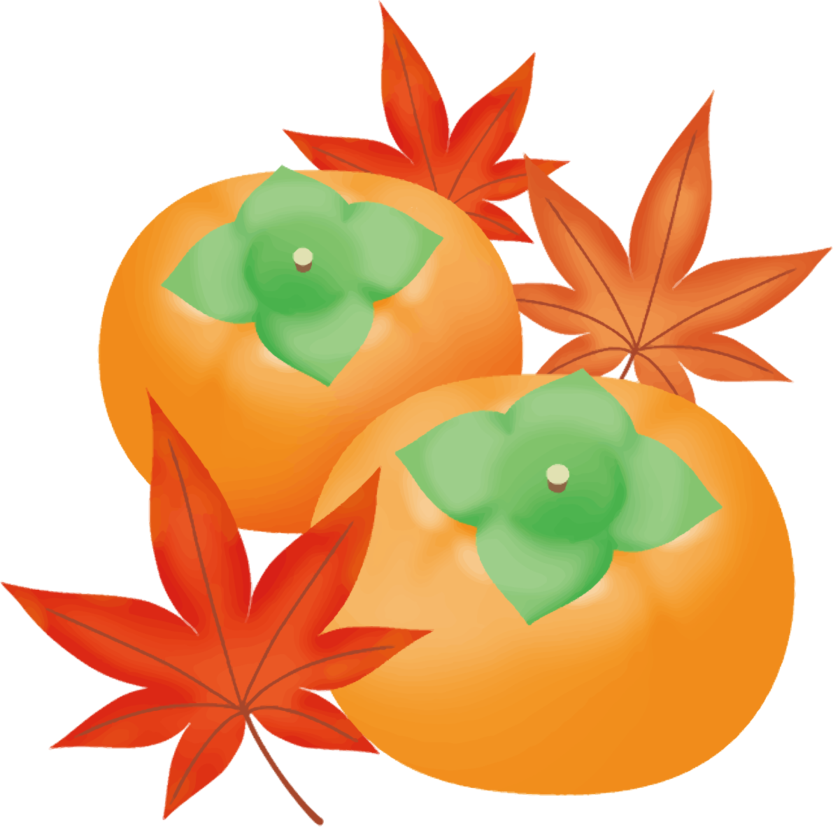 紅葉(もみじ) 秋 柿 イラスト無料 フリー90040に写真・文字を入れる