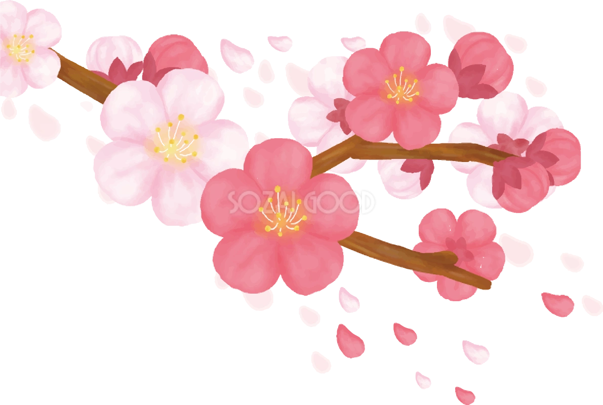 梅の花 リアル おしゃれ イラスト無料 フリー90384