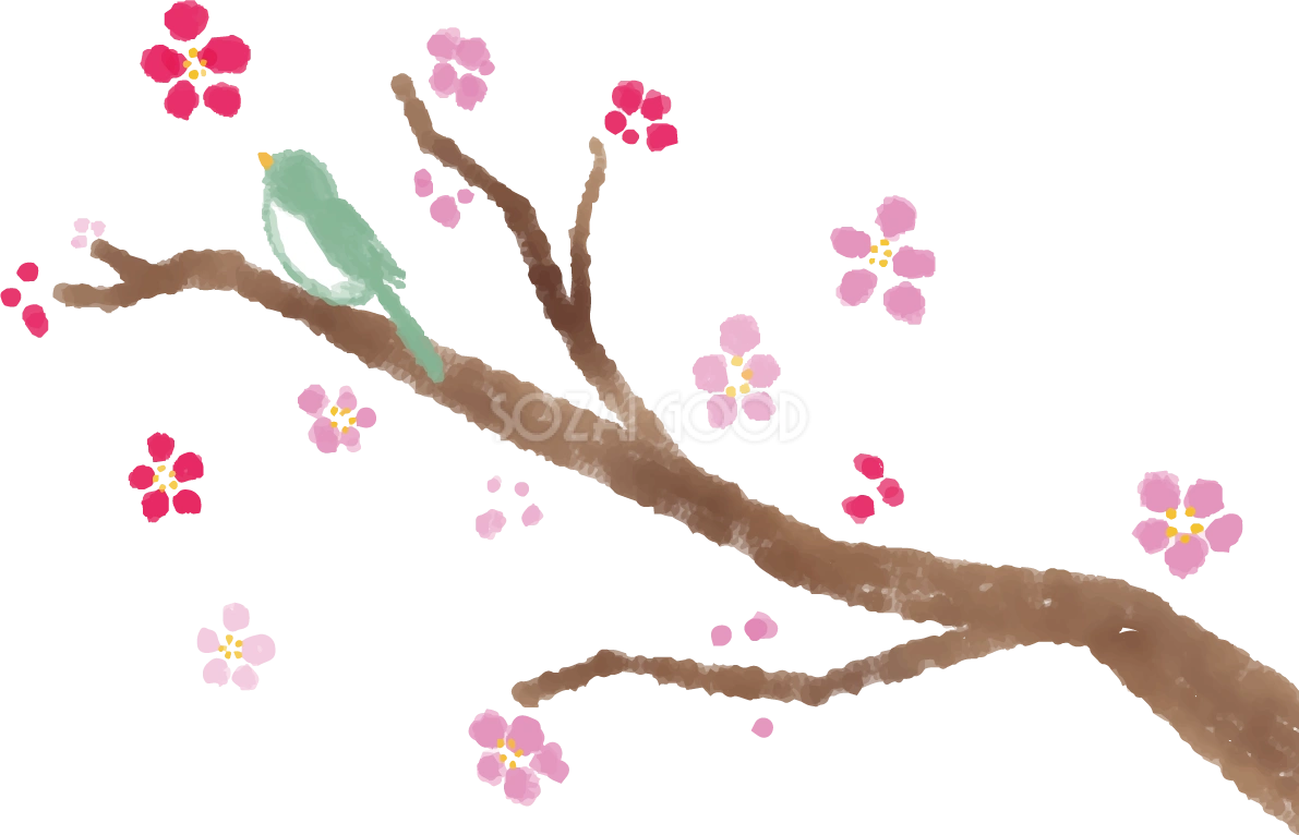 梅の花 うぐいす 和風 イラスト無料 フリー90393