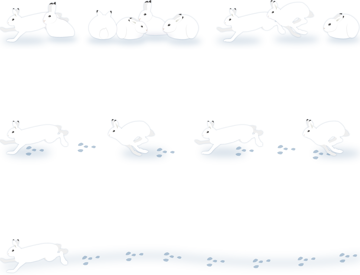 冬 雪 うさぎ ライン イラスト無料 フリー90738に写真・文字を入れる