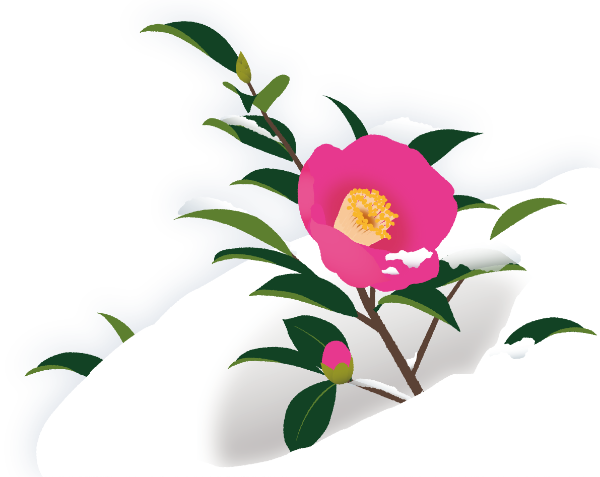 冬 雪 椿 イラスト無料 フリー90754に写真・文字を入れる