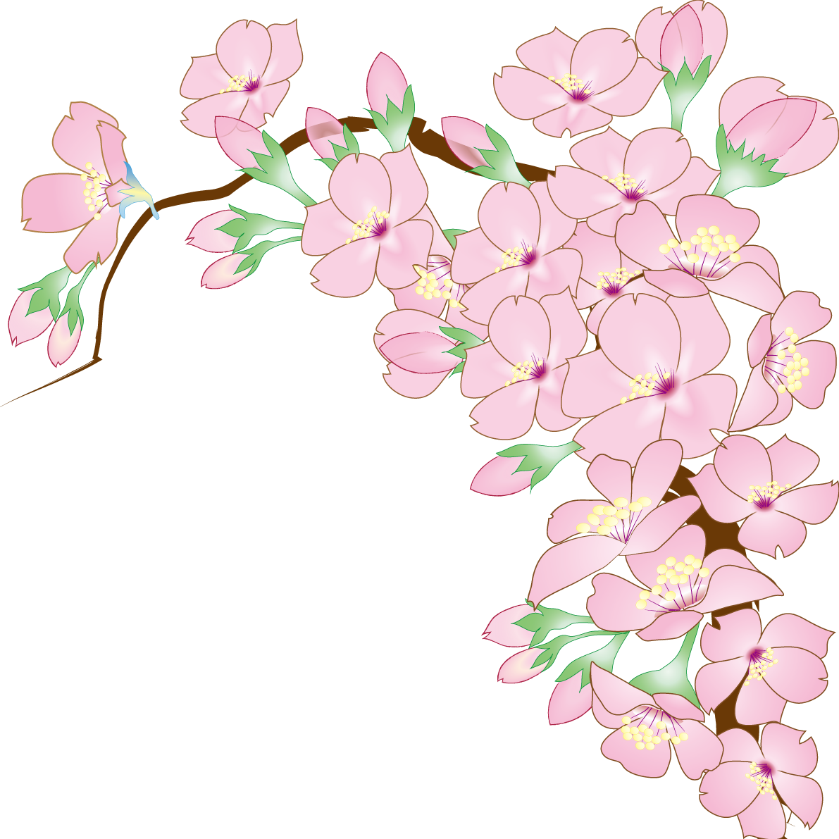 桜の枝 リアルイラスト無料 フリー91072に写真・文字を入れる