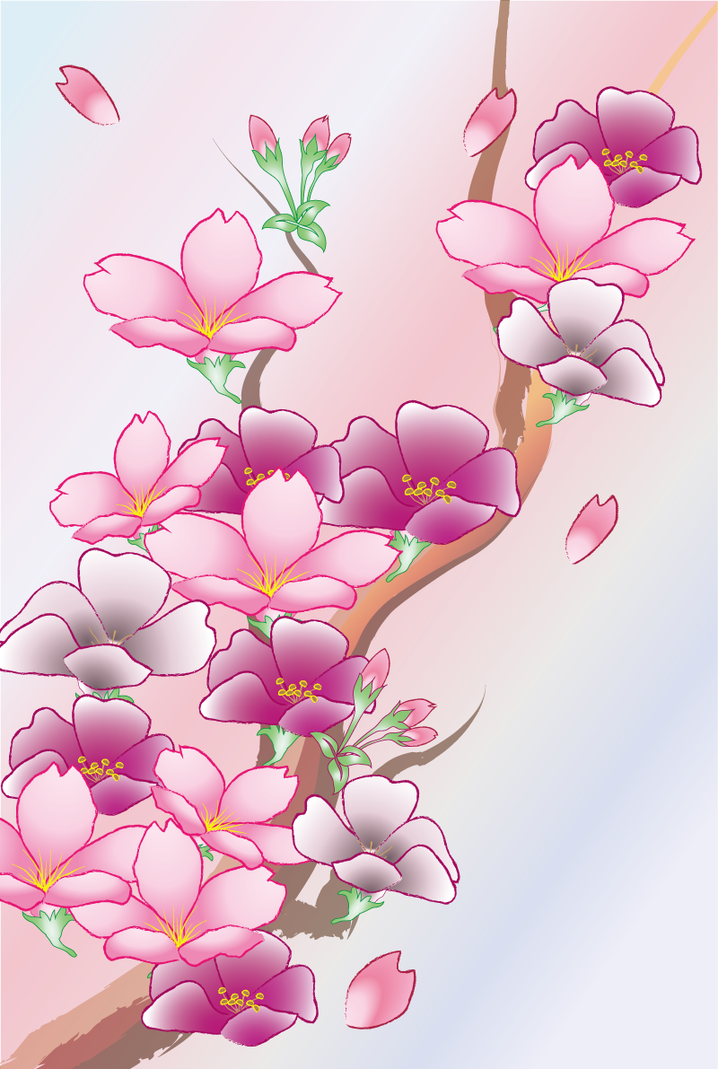 桜の枝 背景 イラスト無料 フリー91078に写真・文字を入れる