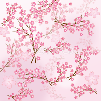 桜 綺麗 背景 模様 イラスト無料 フリー91083