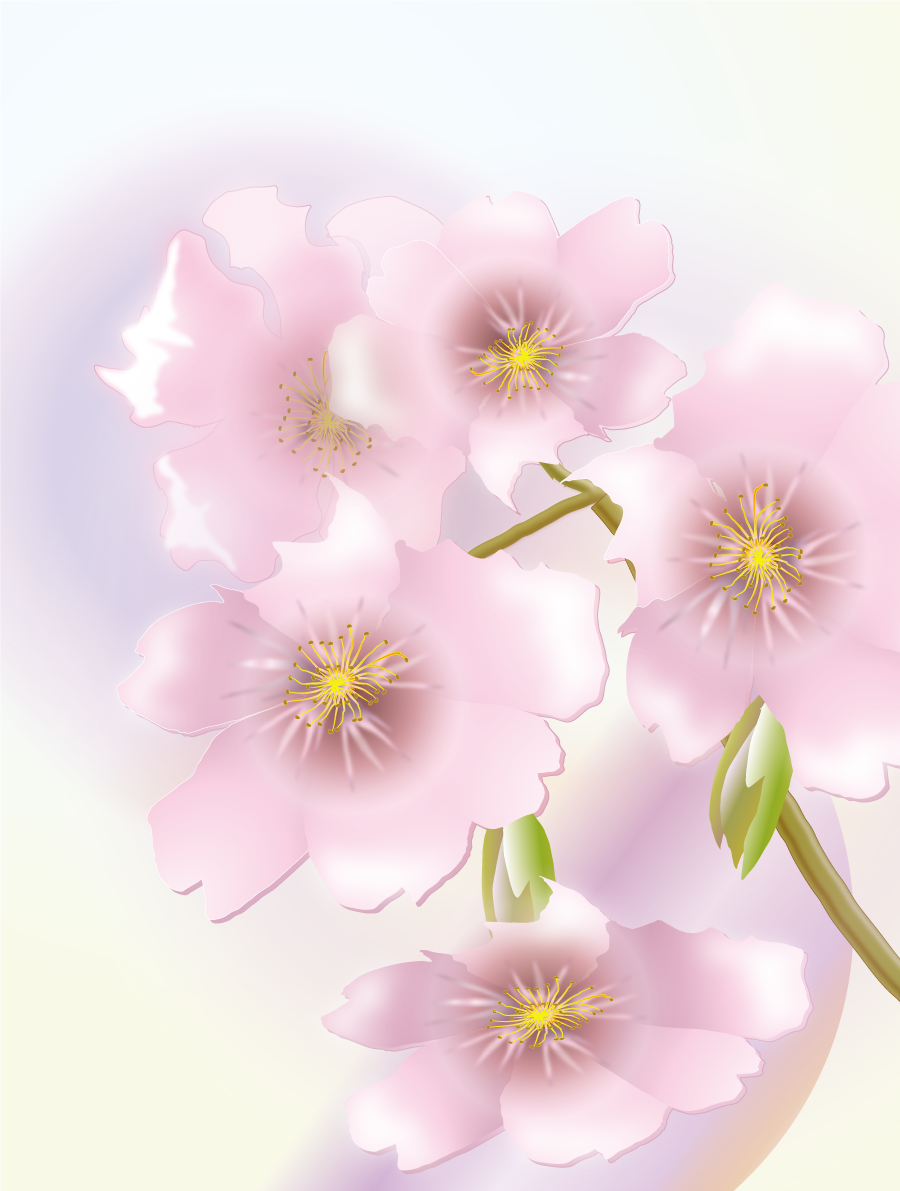 桜 綺麗 背景 イラスト無料 フリー91084に写真・文字を入れる