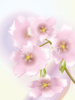 桜 綺麗 背景 イラスト無料 フリー91084