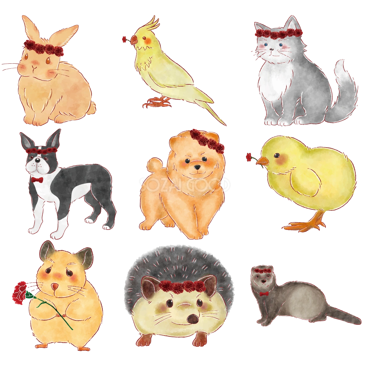 うさぎ 猫 犬 ヒヨコ フェレット インコ ハムスター ハリネズミ カーネーション イラスト セット素材集 無料 フリー91598
