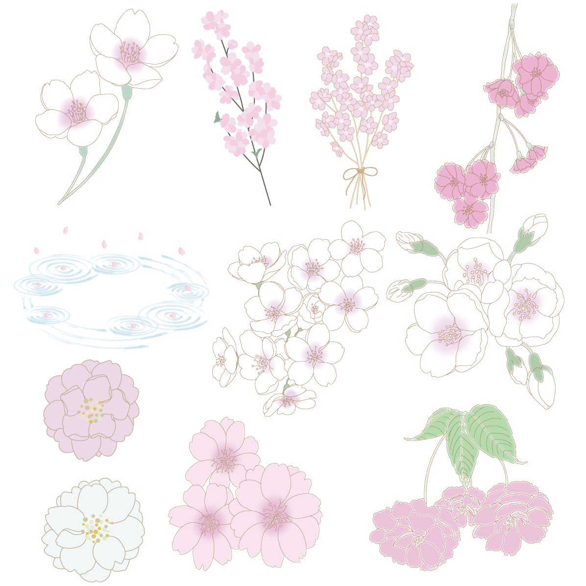 桜 八重桜 イラスト セット素材集 無料 フリー91610に写真・文字を入れる