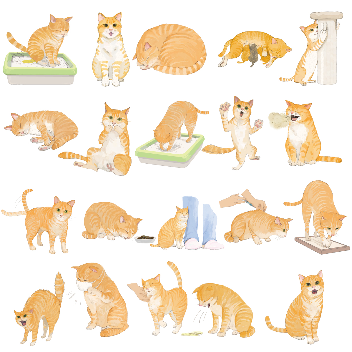 猫 イラスト かわいい リアル セット ポーズ (茶色のトラ柄の雑種ミックス) 素材集 無料 フリー91649に写真・文字を入れる