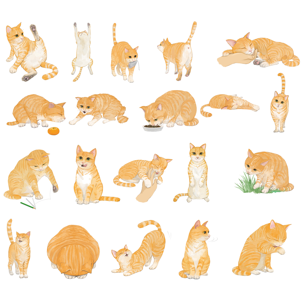 猫 イラスト かわいい リアル セット ポーズ (茶色のトラ柄の雑種ミックス) 素材集 無料 フリー91650に写真・文字を入れる