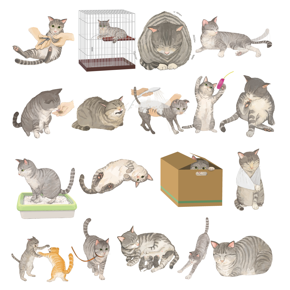 猫 イラスト かわいい リアル セット ポーズ(トラ柄の雑種ミックス グレー)素材集 無料 フリー91651に写真・文字を入れる