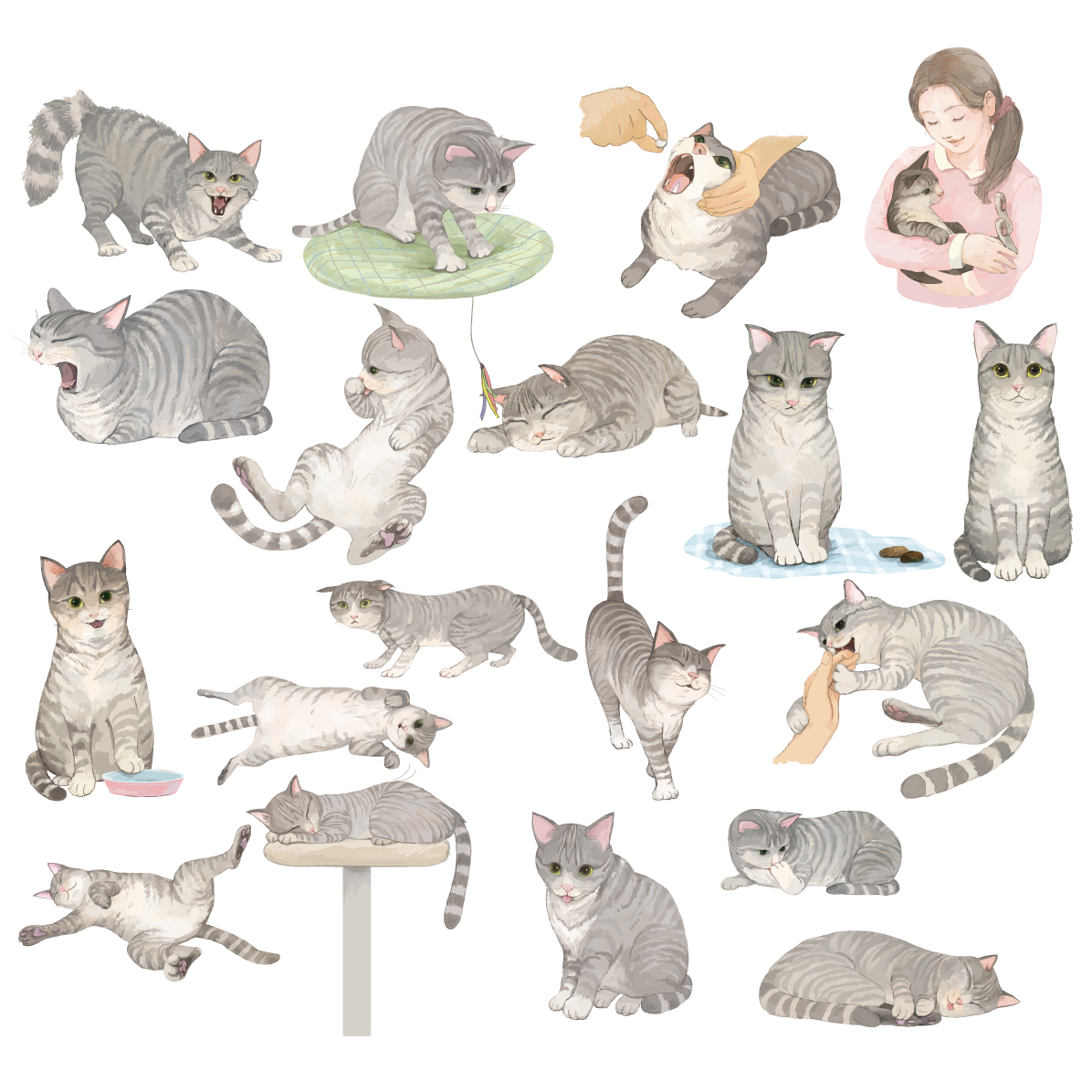 猫 イラスト かわいい リアル セット ポーズ(トラ柄の雑種ミックス グレー)素材集 無料 フリー91652に写真・文字を入れる