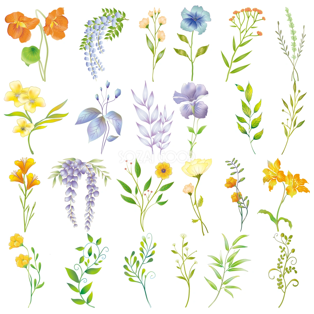 おしゃれな花・植物イラスト24種類セット｜草花・葉・ボタニカル【無料素材】91707