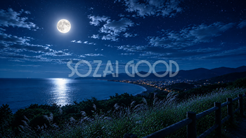 月夜の背景素材【無料PNG】幻想的な夜景風景イラスト フリー92314
