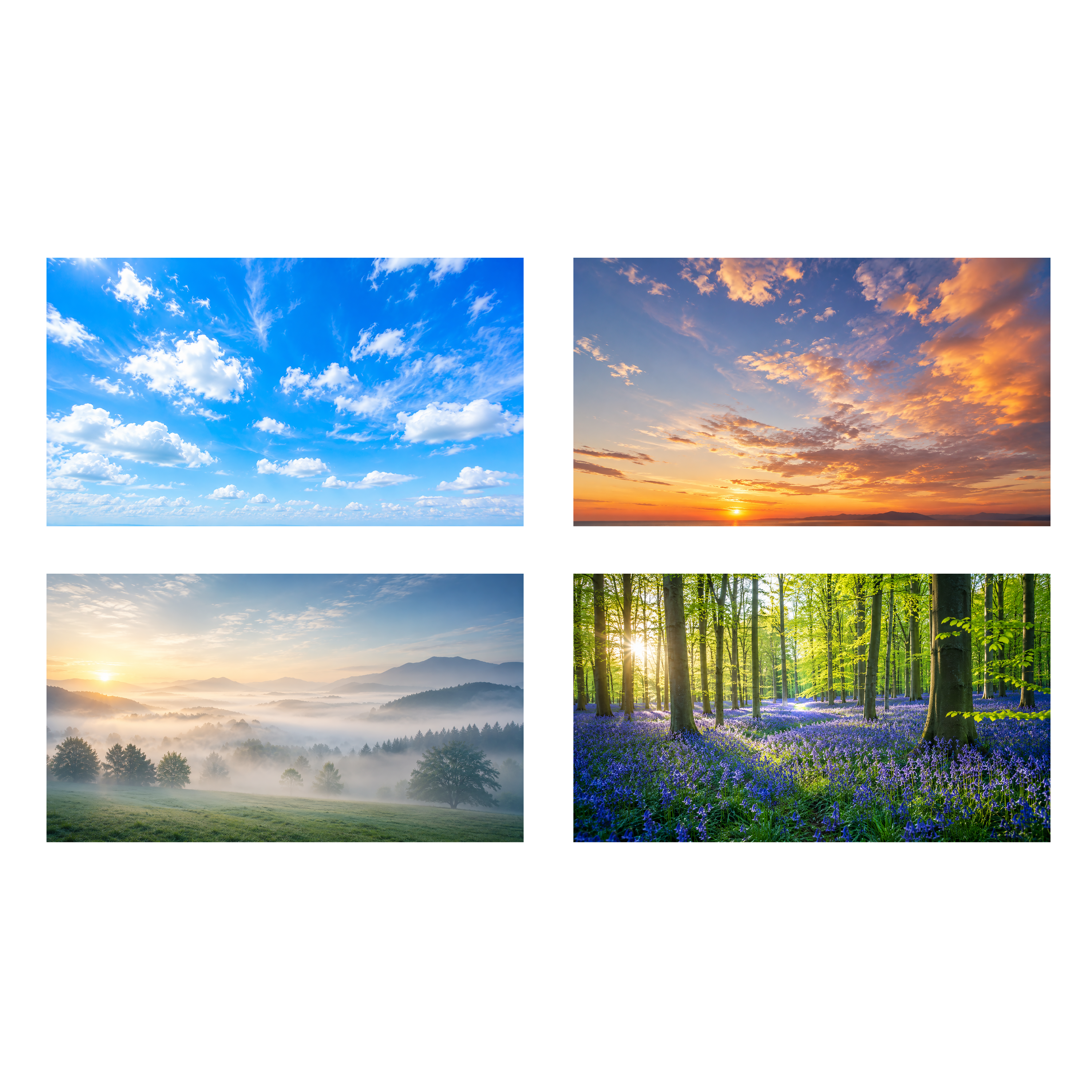 空と癒やしの背景素材セット【無料PNG】青空・夕暮れ・朝霧・ブルーベルの森フリー92338に写真・文字を入れる