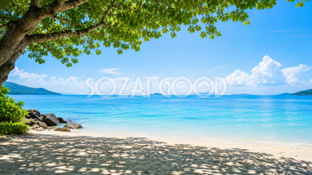 海辺の木陰背景イラスト｜涼しげな夏の無料PNG92920
