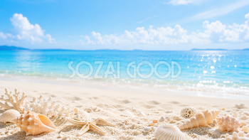 シェルと海背景イラスト｜貝殻が彩る夏の無料PNG92921