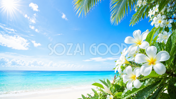 プルメリアの夏背景イラスト｜南国リゾート風の無料背景素材【高画質PNG】92929