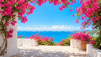 ブーゲンビリアの夏背景イラスト｜華やかな無料背景素材【高画質PNG】92931