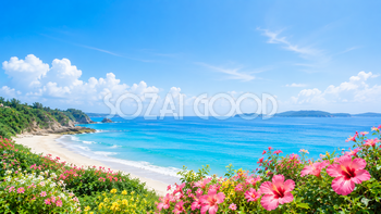 海辺の花背景イラスト｜海と花が彩る夏の無料背景素材【高画質PNG】92936