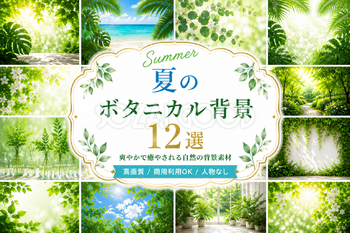 夏のボタニカル背景12選｜おしゃれな無料背景素材【高画質PNG・商用利用OK】92938