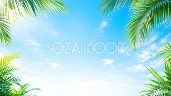 ヤシの葉と青空の夏背景イラスト｜爽やかな無料背景素材【高画質PNG】92940