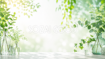 ガラス瓶とグリーン背景イラスト｜ナチュラルな無料背景素材【高画質PNG】92944