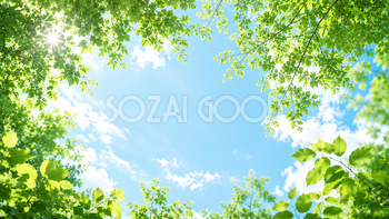 葉っぱ越しの青空背景イラスト｜夏の無料背景素材【高画質PNG】92951