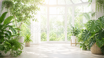 サンルームの植物背景イラスト｜自然光あふれる無料背景素材【高画質PNG】92952