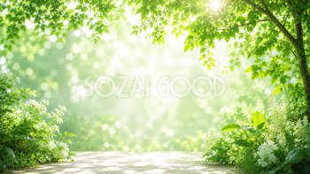 夏の癒やしグリーン背景イラスト｜ナチュラルな無料背景素材【高画質PNG】92953