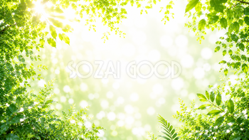サンライトグリーン背景・フレームイラスト｜木漏れ日の無料素材【高画質PNG】92958