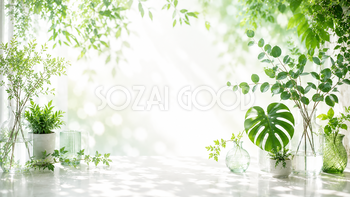 ガラスと植物背景・フレームイラスト｜ナチュラルな無料ボタニカル素材【高画質PNG】92960