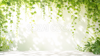 グリーンカーテン背景・フレームイラスト｜つる植物の無料ボタニカル素材【高画質PNG】92962