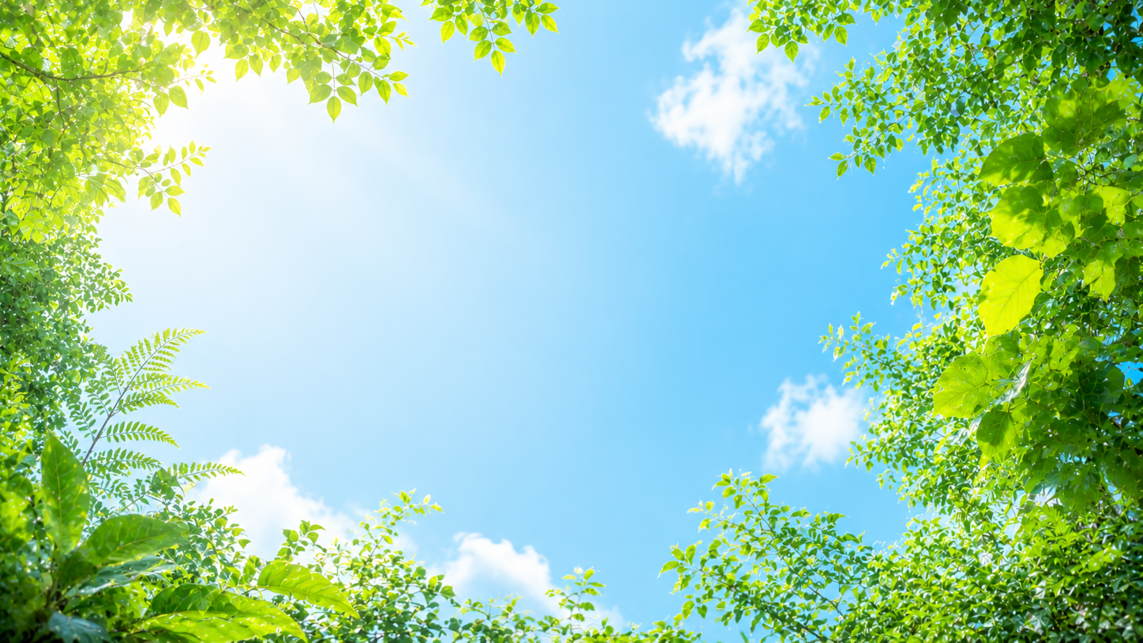 青空とグリーン背景・フレームイラスト｜夏空と葉っぱの無料素材【高画質PNG】92964に写真・文字を入れる