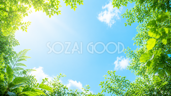 青空とグリーン背景・フレームイラスト｜夏空と葉っぱの無料素材【高画質PNG】92964