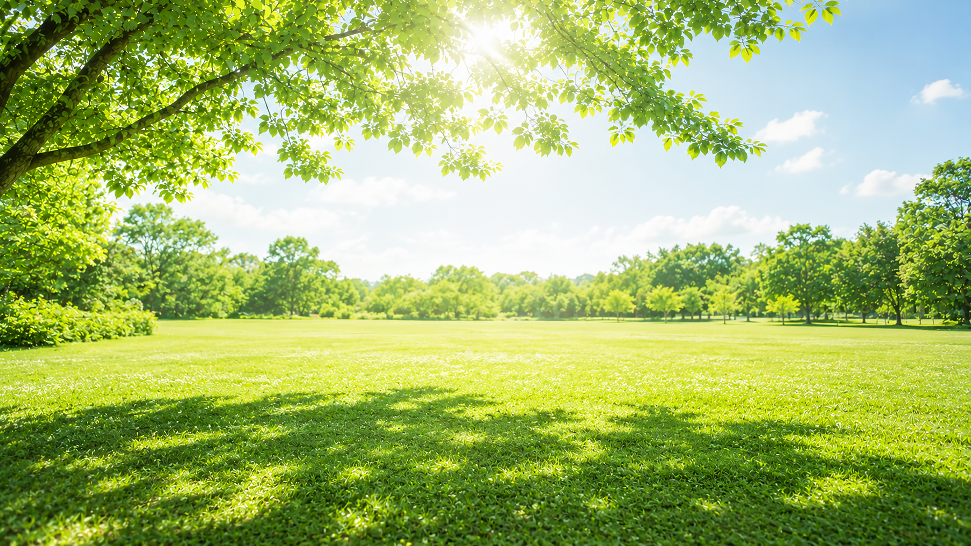 木漏れ日の草原背景イラスト｜青空と自然の無料背景【高画質PNG】92976に写真・文字を入れる