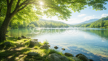 木漏れ日の湖畔背景イラスト｜水辺の無料自然背景【高画質PNG】92977
