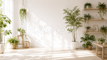 ボタニカルインテリア背景イラスト｜観葉植物の癒やし空間【高画質PNG】92997