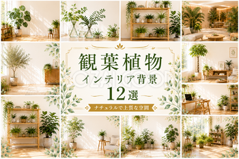 観葉植物インテリア背景12選｜無料・高画質のおしゃれなボタニカル背景素材【商用利用OK】93012