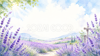 ラベンダー畑背景【無料・高画質PNG】夏の花イラスト背景93093