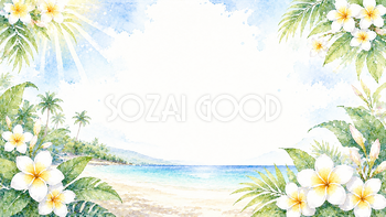 プルメリア背景【無料・高画質PNG】夏の花イラスト背景93095