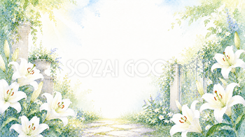 百合（ユリ）の庭背景【無料・高画質PNG】上品な夏の花イラスト93098