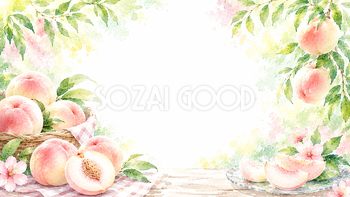 夏の桃背景【無料・高画質PNG】水彩イラスト93107