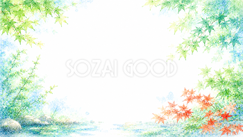 青葉ともみじ背景【無料・高画質PNG】涼やかな夏背景素材93202